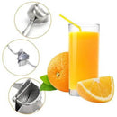 Fruit Juice Squeezer